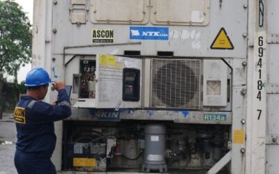 Dapatkan Harga Sewa Container Reefer Terbaik Hanya di ASCON
