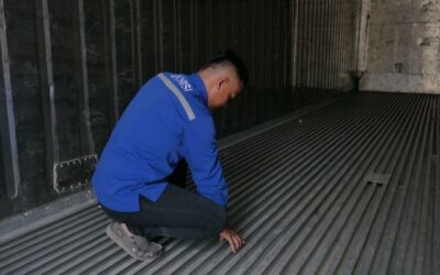 Ingin Membuat Cold Storage Murah? Modifikasi dari Container Saja
