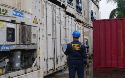 Mencari Tempat untuk Beli Container Reefer Jakarta?