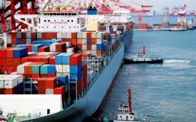 Mengapa Kontainer Reefer Penting Bagi Proses Rantai Dingin?