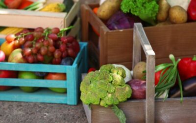 Mengatasi Tantangan Ekspor Sayur dan Buah dengan Container Reefer