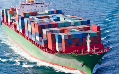 Panduan Cold Chain Logistik yang Efektif dengan Reefers
