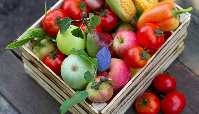 container untuk industri pangan