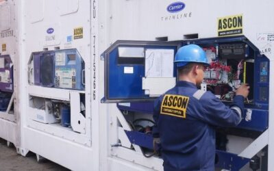 Rental Container Pendingin Murah untuk Semua Industri Bisnis