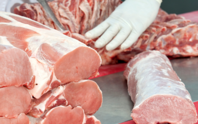 Sedia Kontainer Reefer Pengangkut Makanan untuk Industri Kuliner