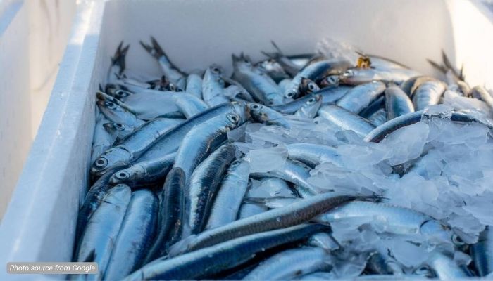 8 Ancaman Pengiriman Produk Dingin ke Luar Negeri