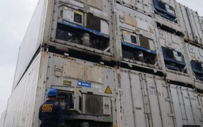 ASCON, Pusat Rental Container Pendingin Bermacam Merk