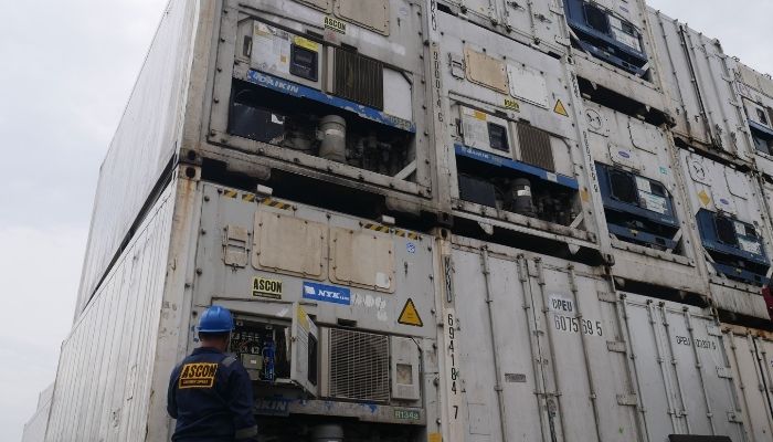 pusat rental container pendingin