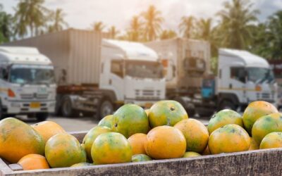 Manfaat Menggunakan Reefer Container Terbaik dalam Proses Logistik
