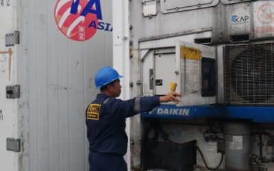 Kelebihan Rental Container Reefer Dibanding Membeli Kontainer Pendingin Baru