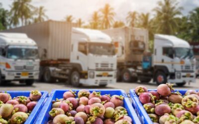 Kunci Sukses Ekspor Produk Segar dengan Reefer Container
