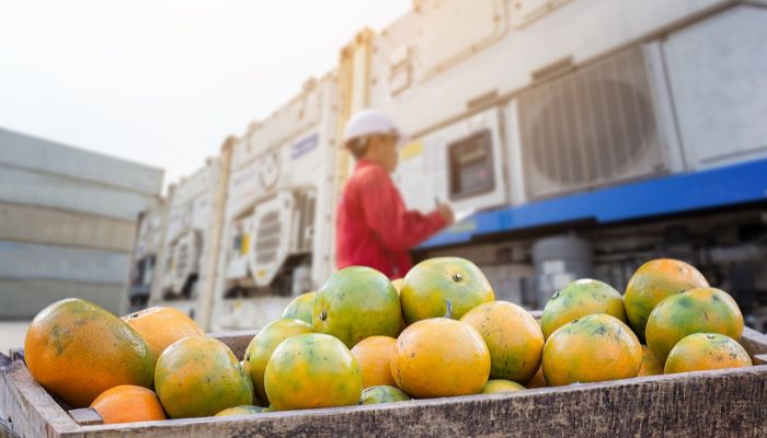 Reefer Container Mengontrol Kelembaban dan Atmosfer dalam Kontainer reefer container kontrol kelembaban