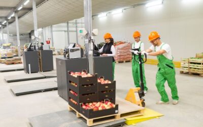 Tantangan Logistik di Negara Berkembang dan Cold Chain Sebagai Solusinya