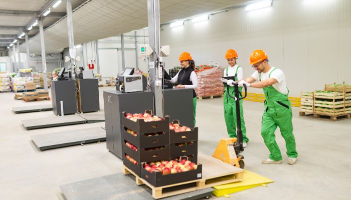 Tantangan Logistik di Negara Berkembang dan Cold Chain Sebagai Solusinya tantangan logistik negara berkembang