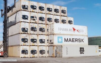 Teknik Packing Efektif untuk Optimasi Ruang dalam Reefer Container