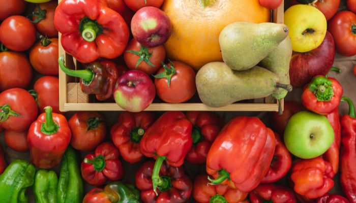 Tips Membangun Sistem Rantai Dingin yang Efisien membangun sistem rantai dingin