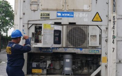Harga Sewa Reefer Container Daikin: Hemat Biaya Pengiriman