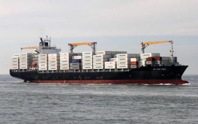 Panduan Lengkap Tentang Logistik Rantai Dingin di Indonesia