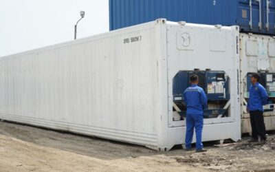 Sewa Kontainer Reefer: Solusi Bagi Eksportir Produk Makanan Segar dan Olahan