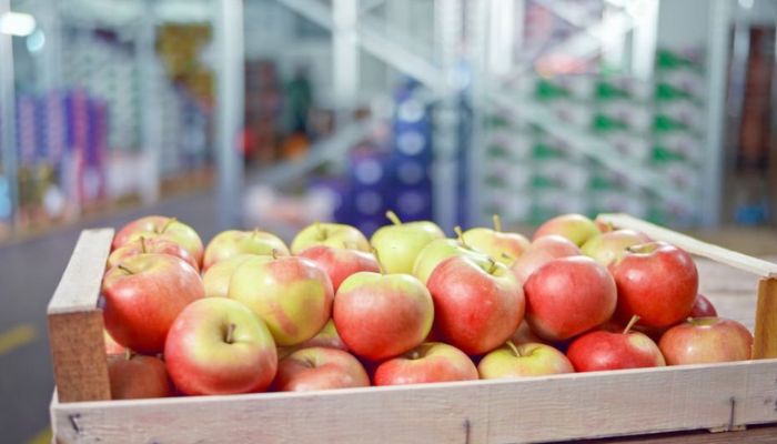 logistik produk perishable