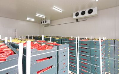 Apa Fungsi Utama Cold Storage dalam Proses Logistik?