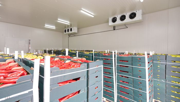 fungsi cold storage