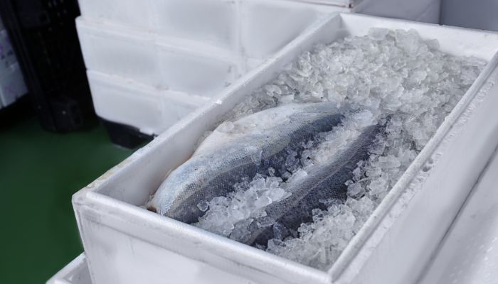 produk rantai dingin