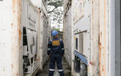 ASCON, Supplier Peti Kemas Berpendingin untuk Logistik yang Aman