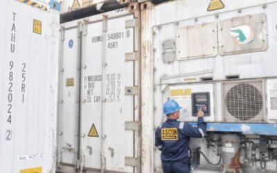 Dapatkan Harga Rental Container Pendingin Termurah Hanya di ASCON