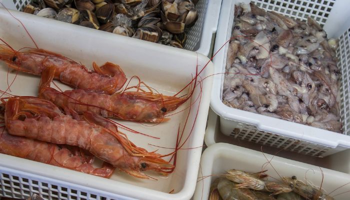 pendinginan reefer cargo