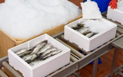 Optimalisasi Proses Cold Chain untuk Industri Perikanan yang Tepat