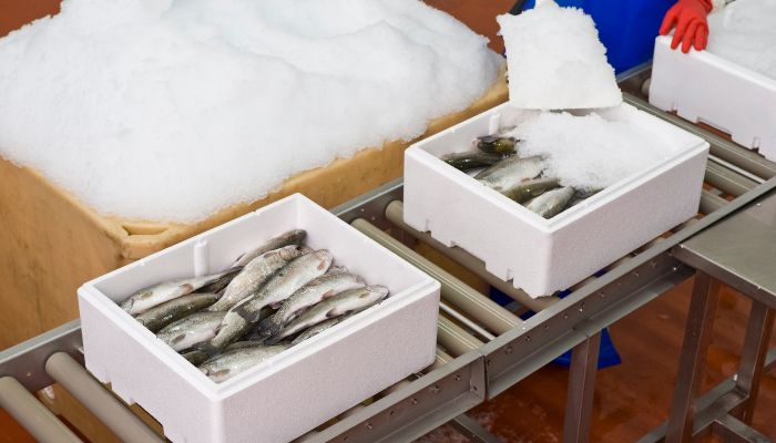 Optimalisasi Proses Cold Chain untuk Industri Perikanan yang Tepat