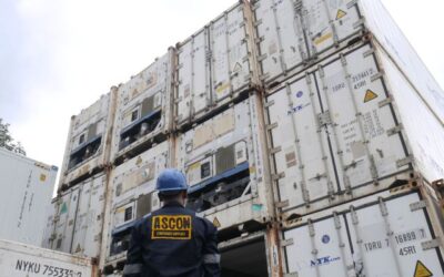 Perbedaan High Cube Reefer Container dan Standar Container Reefer