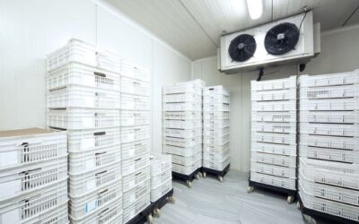 Solusi Efektif, Merubah Container Menjadi Cold Storage Sementara