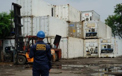 ASCON, Solusi Penyewaan Kontainer Reefer Darurat Siap Kirim