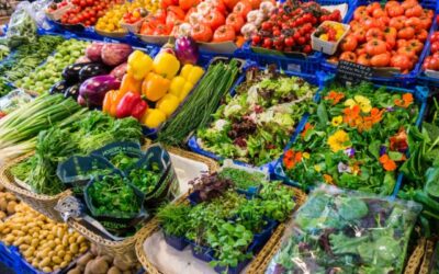 Apa yang Dimaksud dengan Produk Perishable dalam Cold Chain?