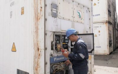 Cek Biaya Sewa Kontainer Berpendingin yang Termurah, Disini!