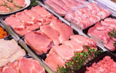 Potensi Industri Cold Chain di Indonesia untuk 5 Tahun Mendatang