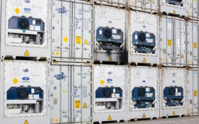 Apa Saja Kendala yang Sering Terjadi dalam Ekspor Impor Produk Perishable?