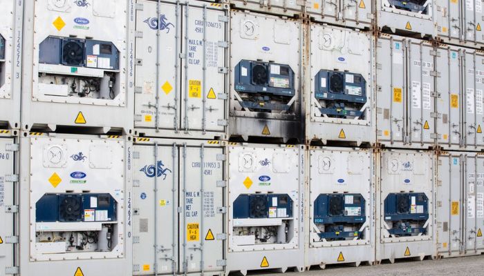 kendala ekspor impor perishable