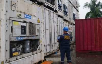 ASCON, Supplier Container Reefer Murah untuk Solusi Bisnis Anda
