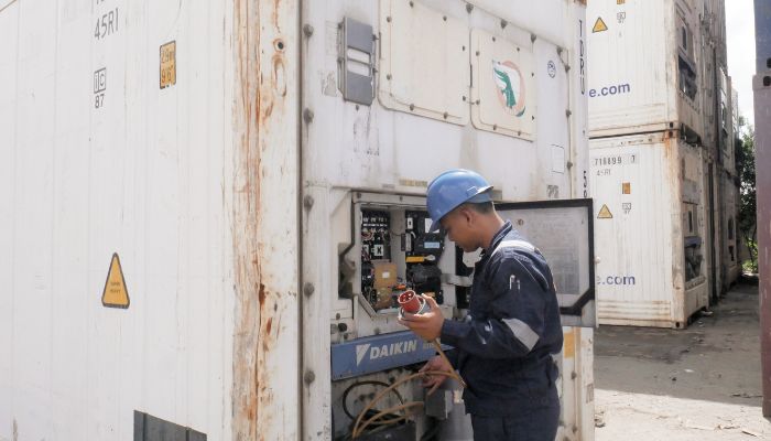 container reefer ready stock