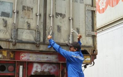 Solusi Logistik Dingin yang Aman dengan Reefer Container Murah Jakarta