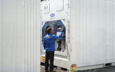 Tips Memilih Supplier Container Pendingin Murah dan Terpercaya