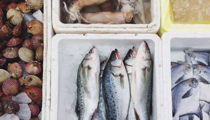 cara ekspor seafood