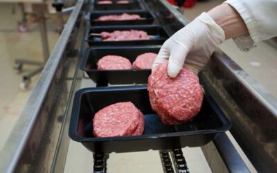 Solusi Transportasi Dingin untuk Bisnis Frozen Food dengan Container Reefer