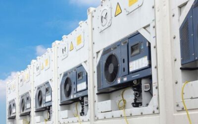Beli Reefer Container 20 Feet – Investasi Tepat untuk Cold Chain