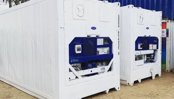 ukuran refrigerated container