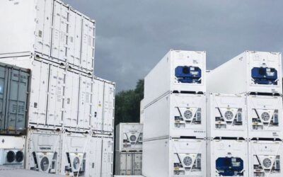 Refrigerated Container Murah – Dapatkan Penawaran Terbaik Sekarang!