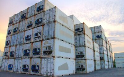 Supplier Container Reefer Jakarta – Pilihan Tepat untuk Cold Chain